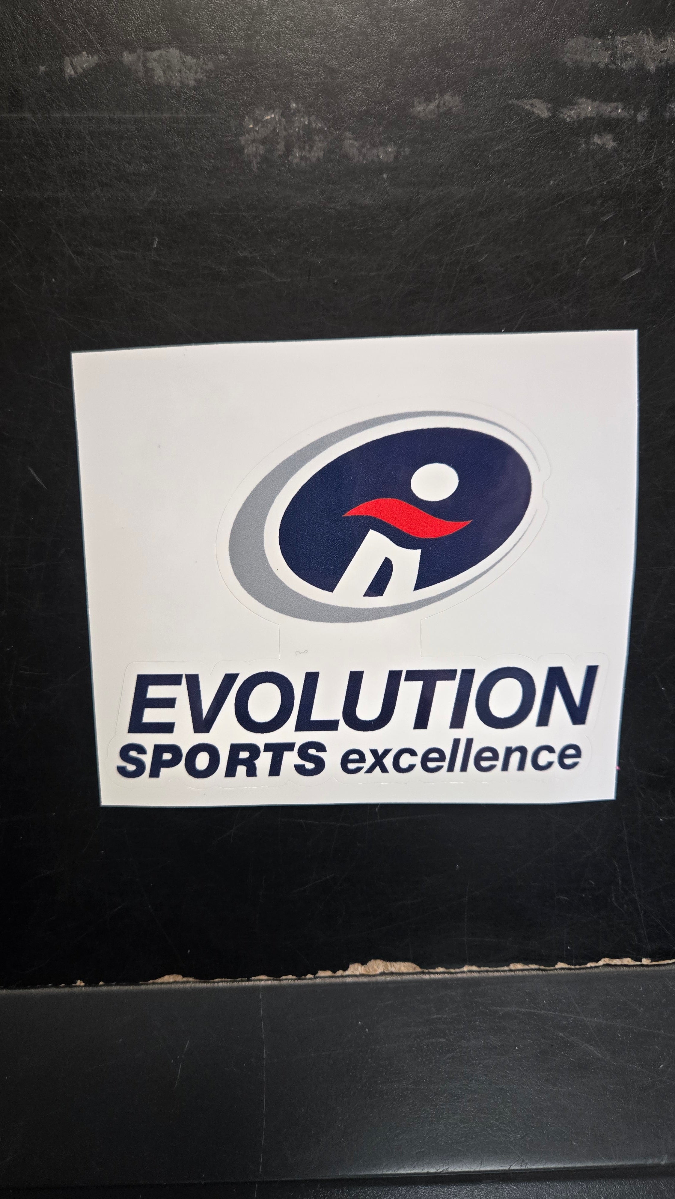 Evolution Sports Excellence Sticker - 4" x 3"