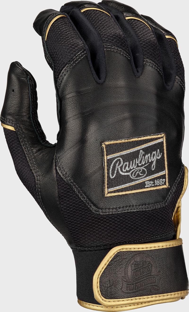 BG RAWLINGS Pro Preferred BS24 PROPRFBG