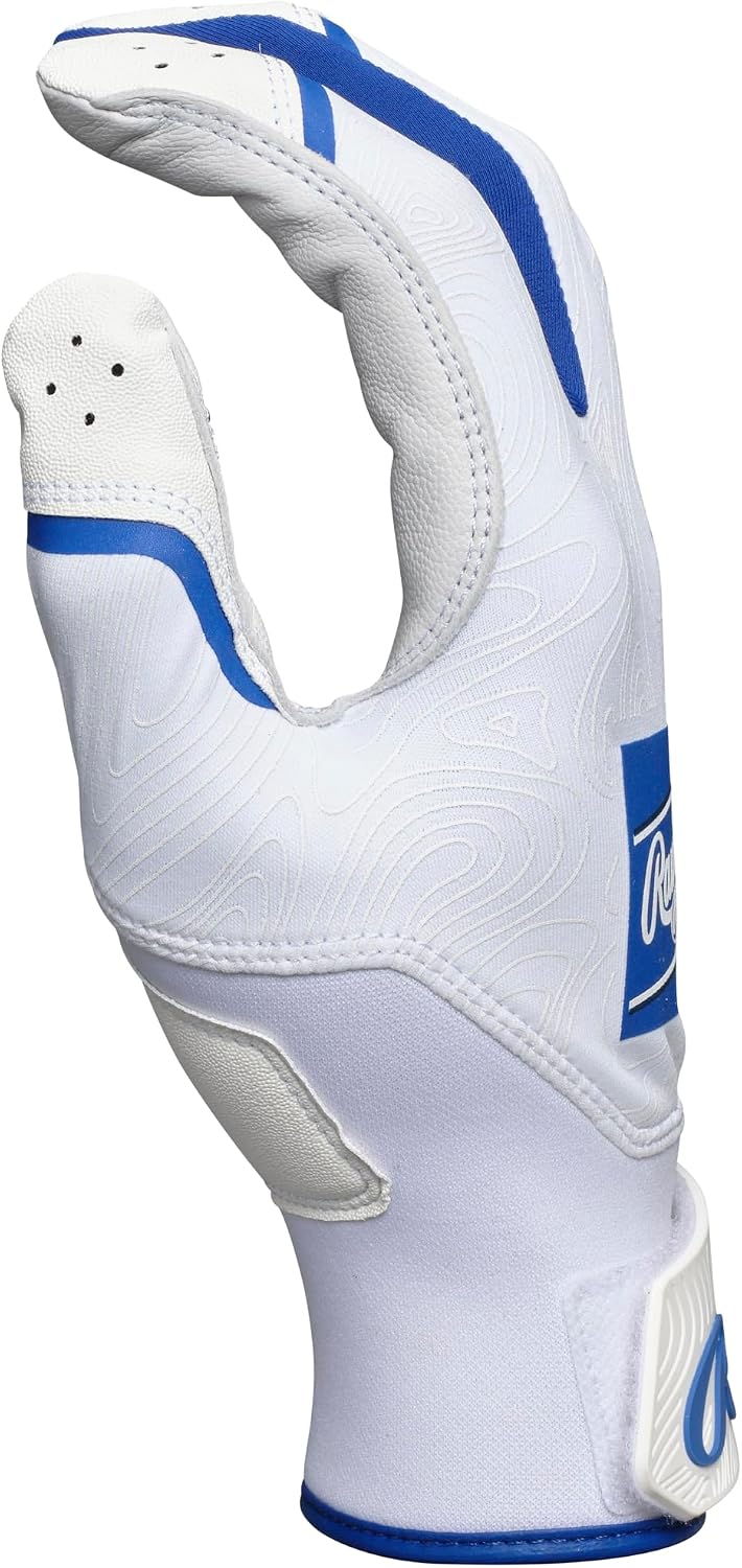 2025 Rawlings Clout Batting Gloves CL25BG - Adult