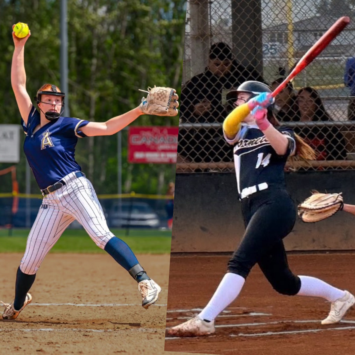 Fastpitch