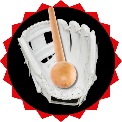 Evolution Sports Excellence x Mitt Master Ball Glove Break-In Service