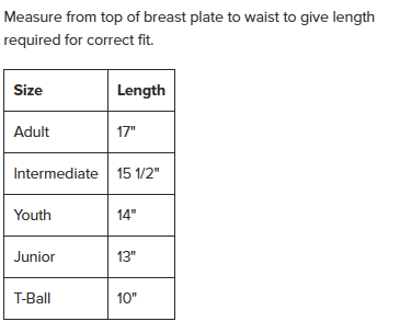 2025 Rawlings Mach Pro Catchers Chest Protector