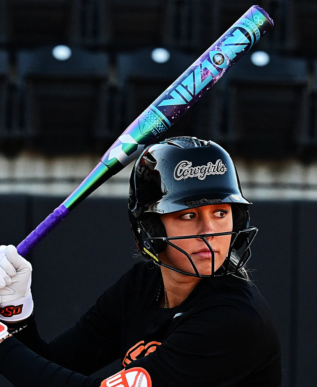 2027 Demarini Vizion -10 2 Piece Fast Pitch Bat