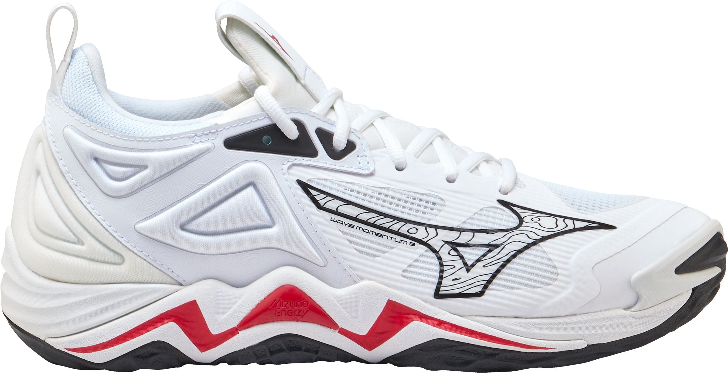 2024 Mizuno Wave Momentum 3 Volleyball Shoes - Mens