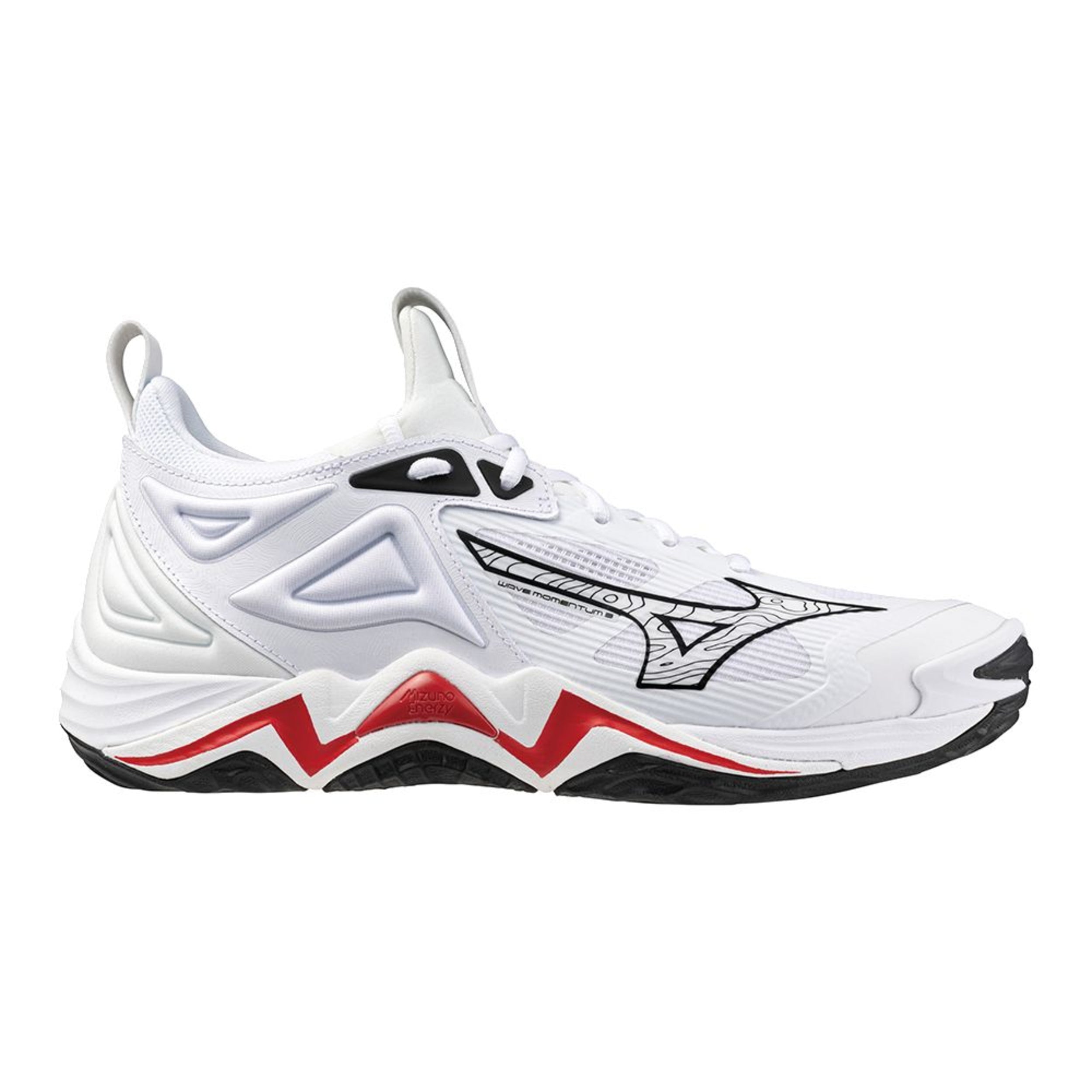 2024 Mizuno Wave Momentum 3 Volleyball Shoes - Mens