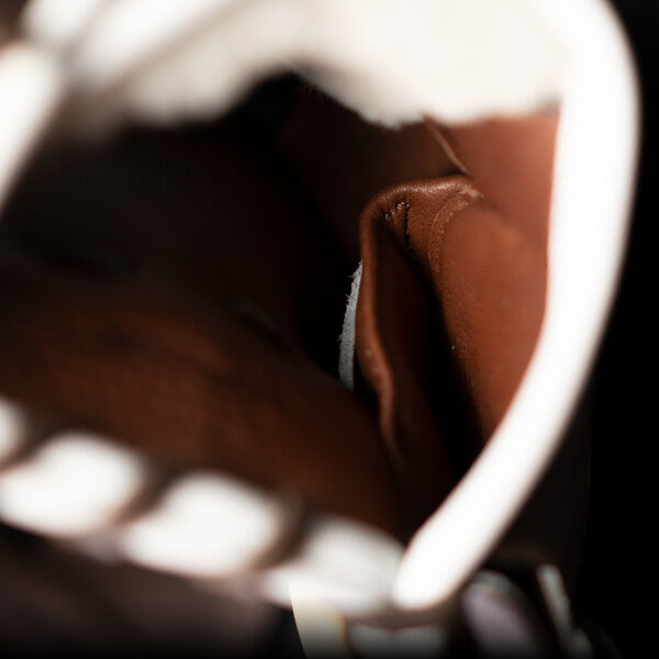 2025 Rawlings Pro Preferred 33" Catchers Baseball Glove Right Hand Throw PROSCM33-23BM