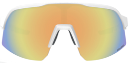 RAWLINGS SUNGLASSES (R10264698)  BS24